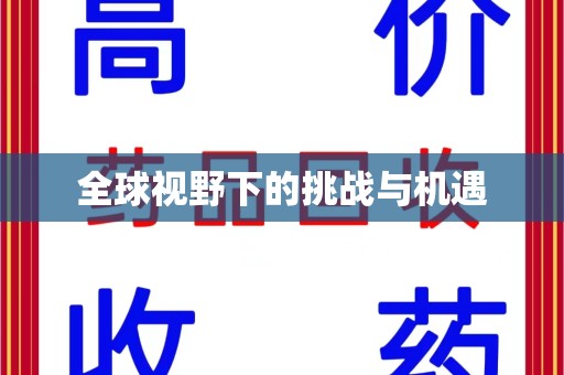 保定全球视野下的挑战与机遇