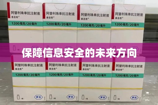 保定保障信息安全的未来方向