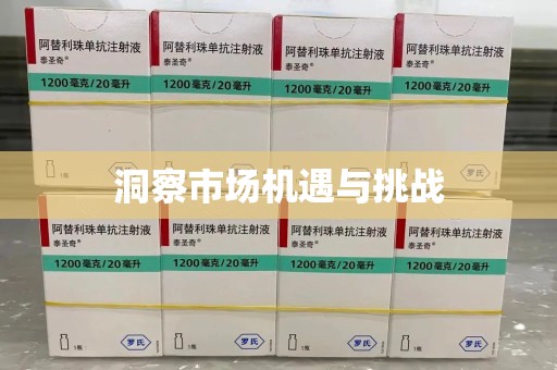 保定洞察市场机遇与挑战
