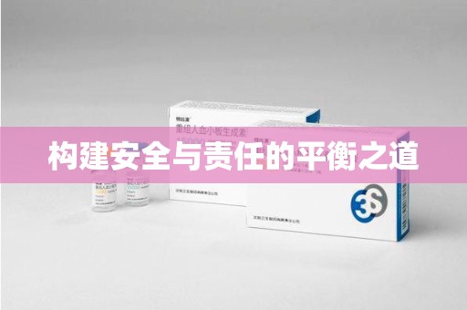 保定构建安全与责任的平衡之道