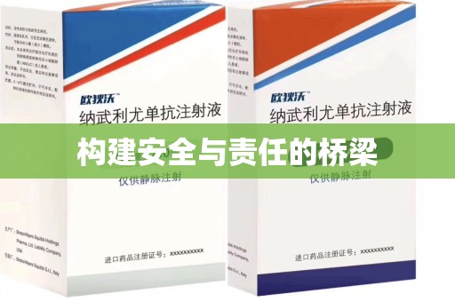 保定构建安全与责任的桥梁
