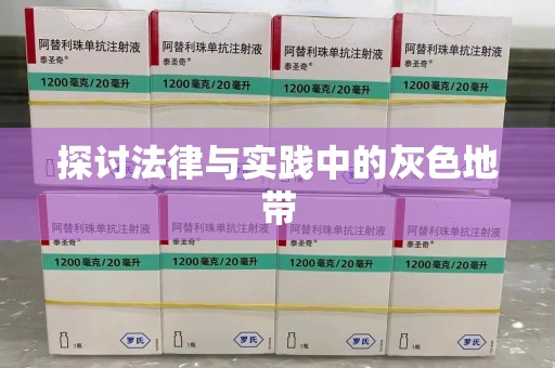 保定探讨法律与实践中的灰色地带