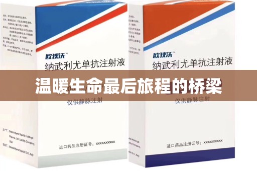 保定温暖生命最后旅程的桥梁