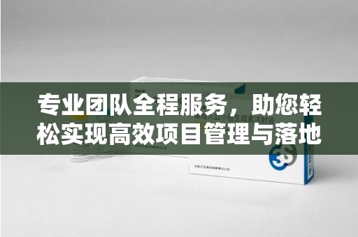 保定专业团队全程服务，助您轻松实现高效项目管理与落地