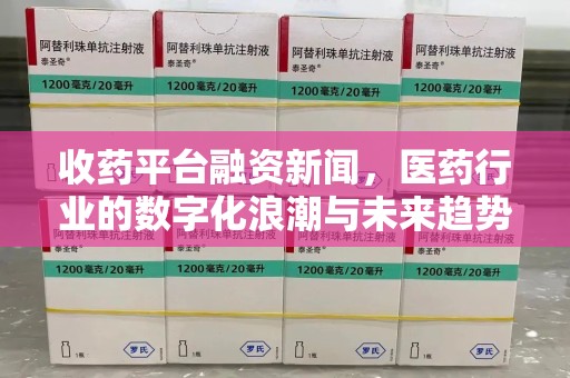 保定收药平台融资新闻，医药行业的数字化浪潮与未来趋势